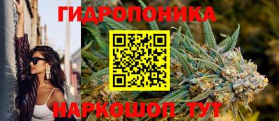 амф Ярцево