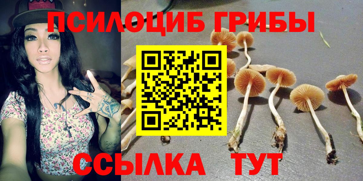 Псилоцибиновые грибы прущие грибы Баксан