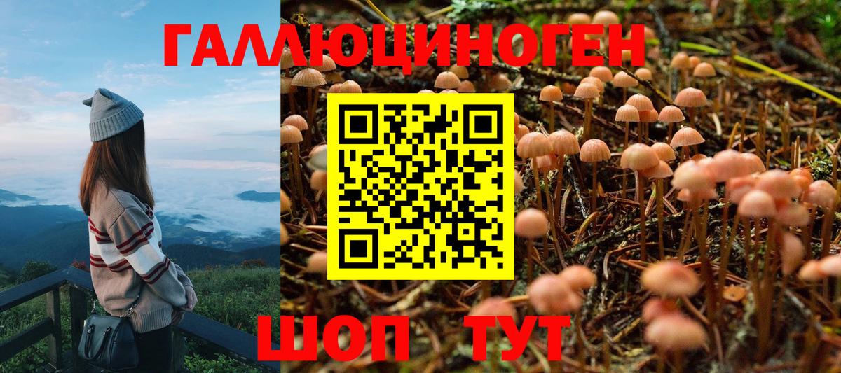 Псилоцибиновые грибы MAGIC MUSHROOMS  Галлюциногенные грибы прущие грибы  Баксан  где продают   Вход с VPN 